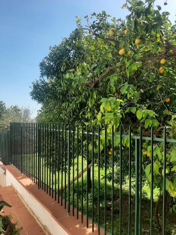 Villa Vesuvius เนเปิลส์ ภายนอก รูปภาพ